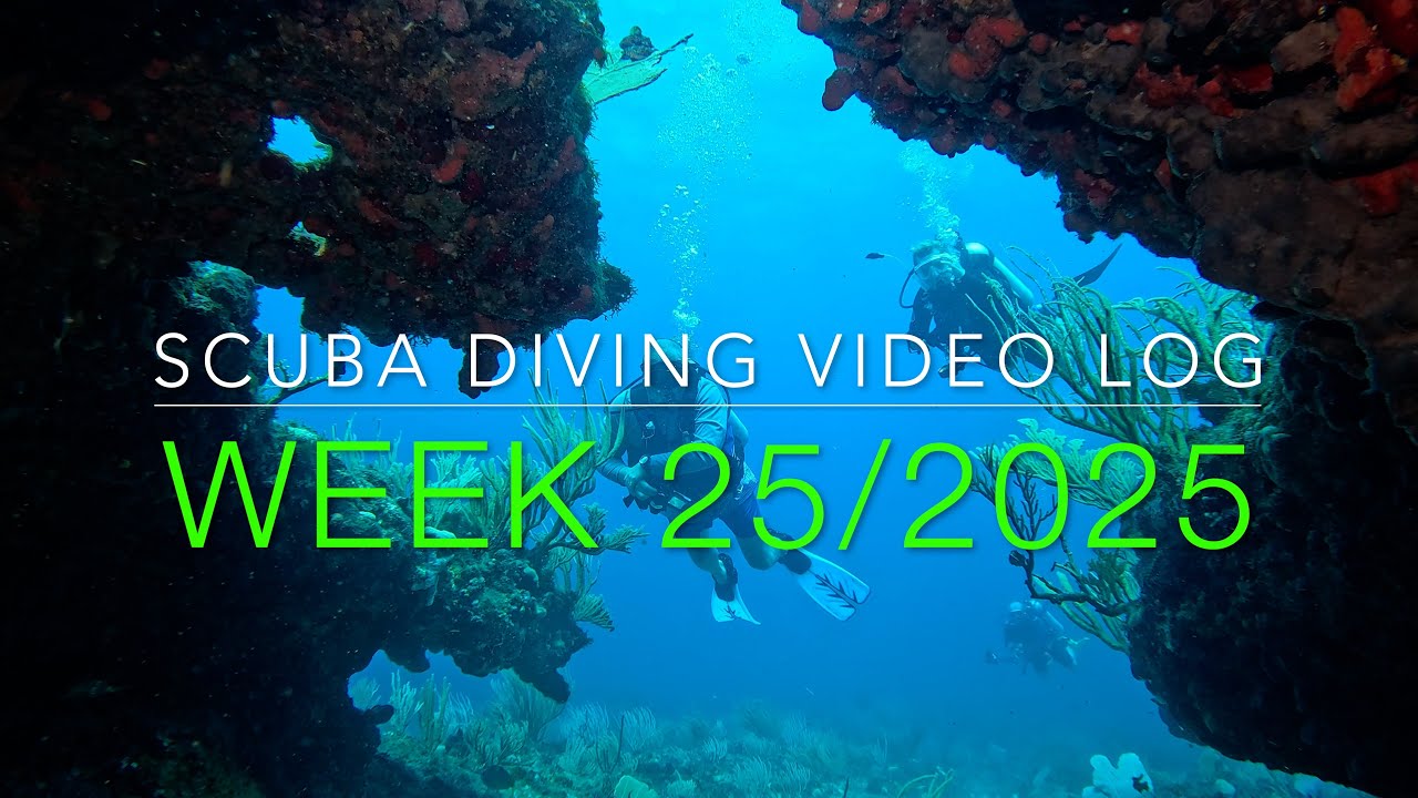 Scuba Diving St. Maarten Vlog - Week 25, 2025