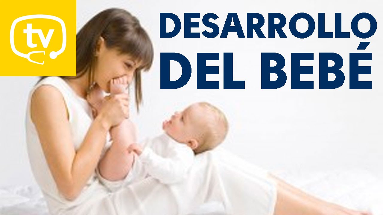 El desarrollo del beb&eacute;