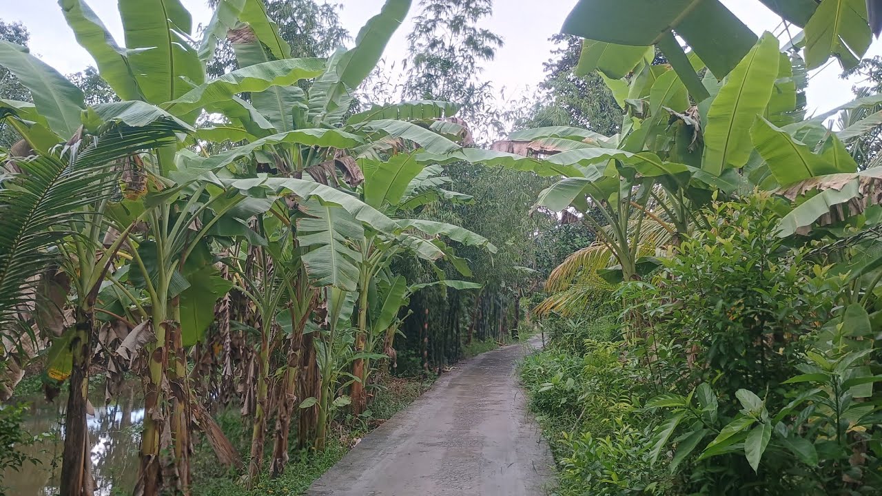 Vietnam 4 can tho 