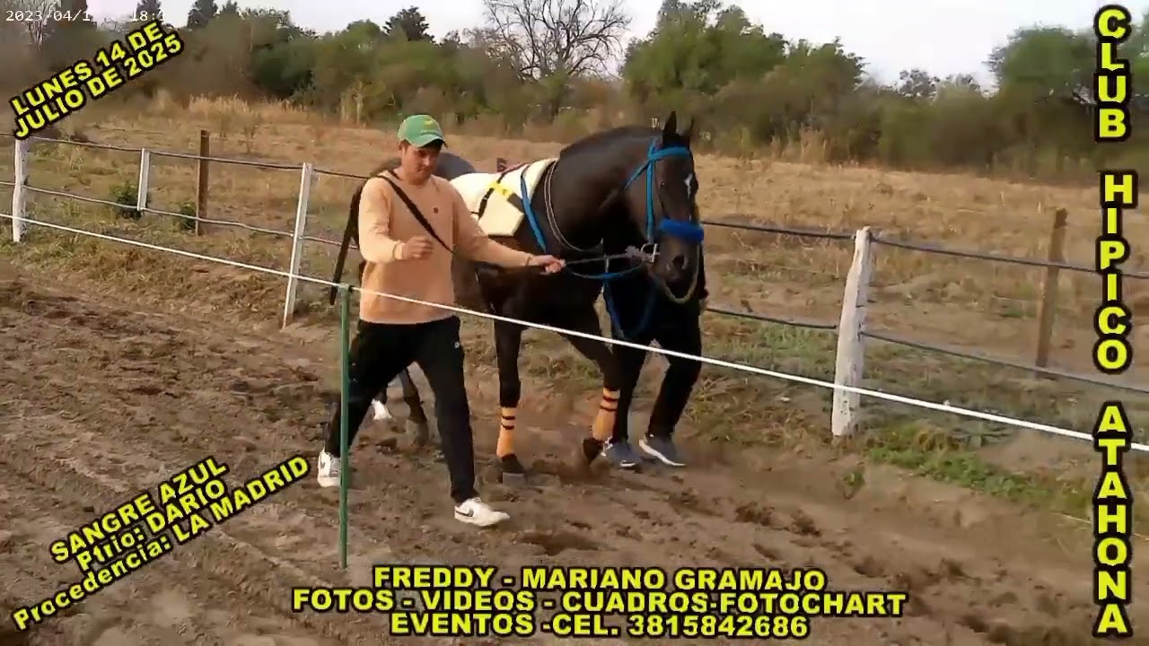 Club Hípico El Monumental (Sangre Azul vs Don José) Primera Parte