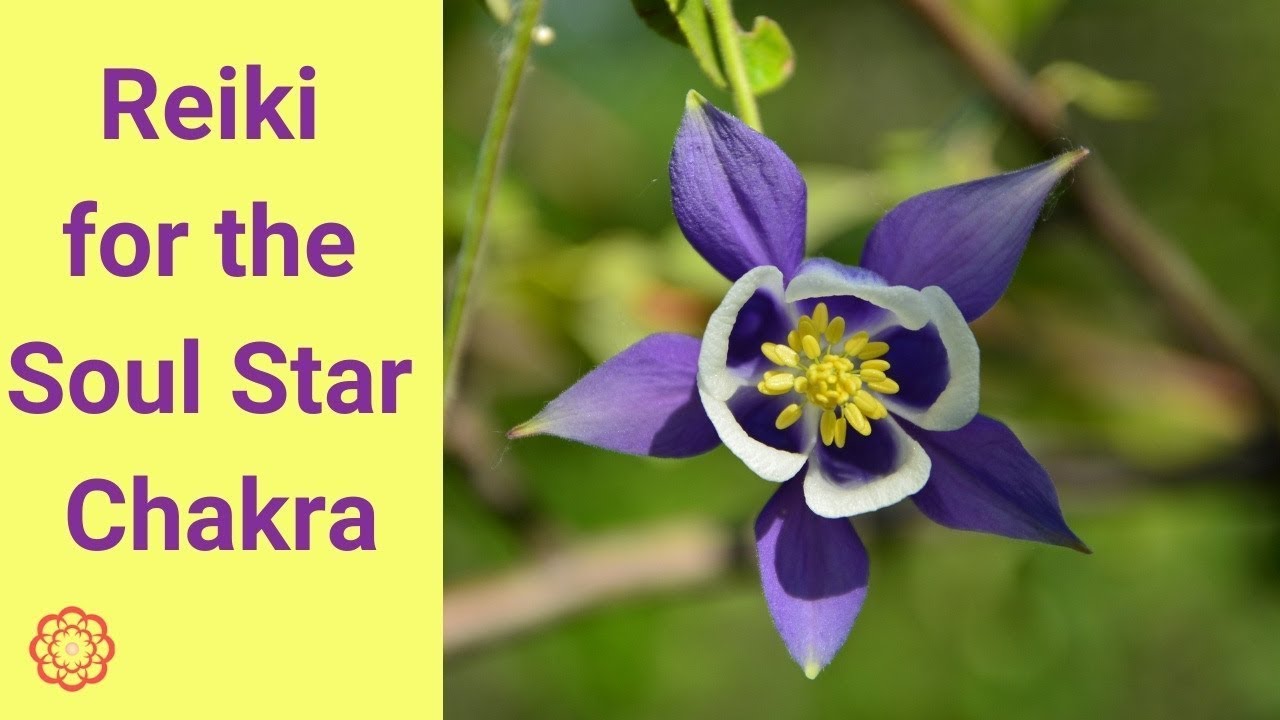 Reiki for the Soul Star Chakra 💮