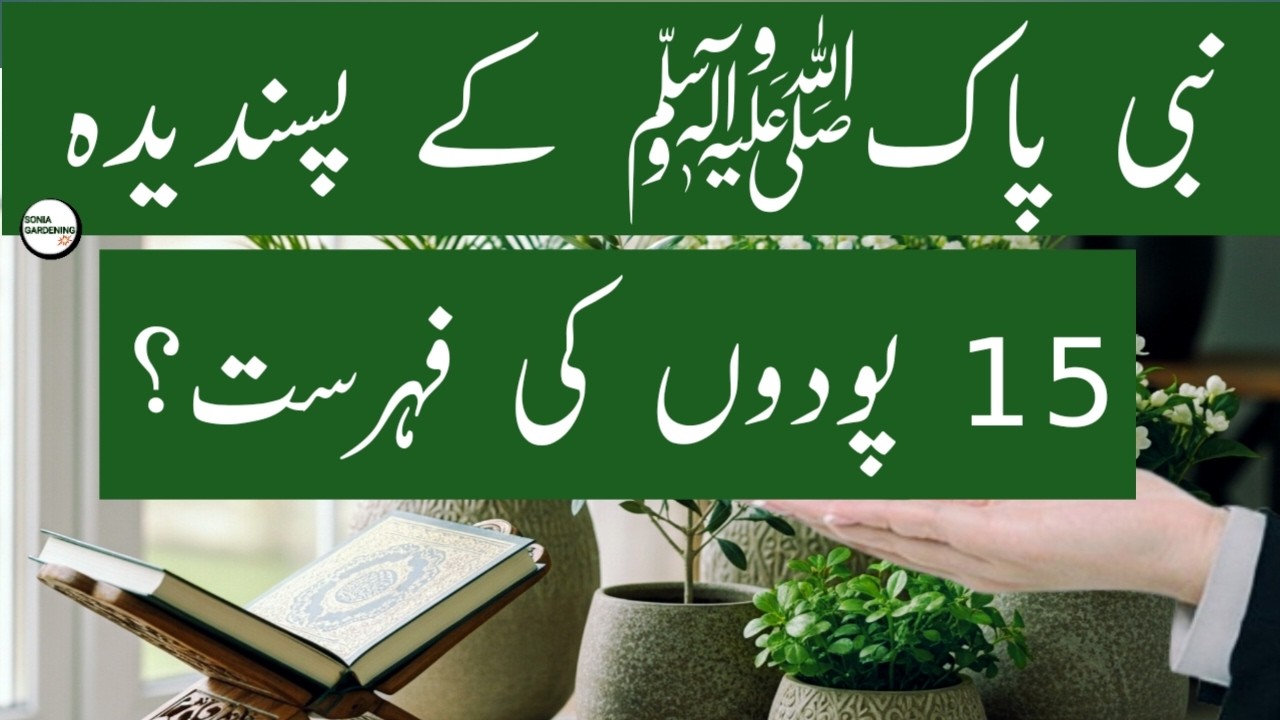 15 Blessed Islamic Plants for Home That Bring Barakah Rizq and Peace According to Sunnah