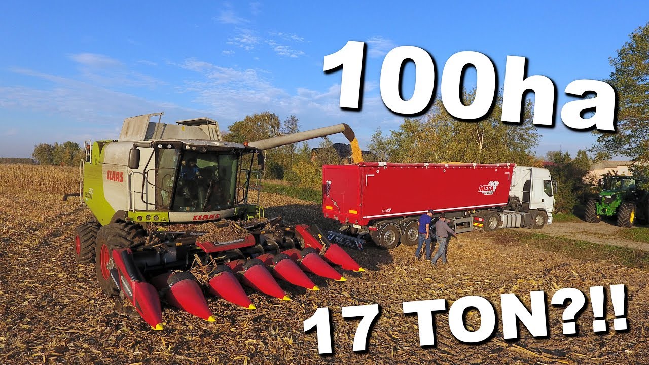 17 TON Z HEKTARA?! ☆ Claas Lexion 650 VS 100ha ☆ Kukurydza na ziarno 2019 ☆ 3x Johndeere + 3x Fliegl