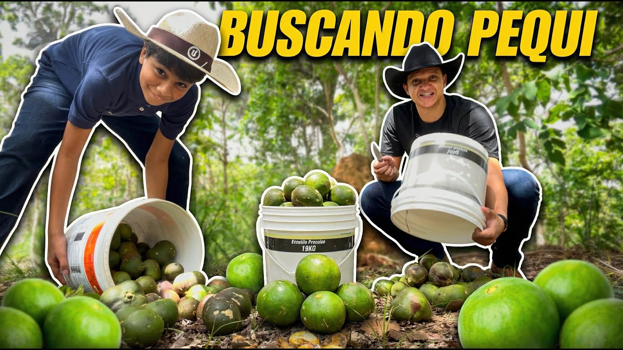 Fui Buscar Pequi com Meu Irmão Achando Que Era Fácil 😂