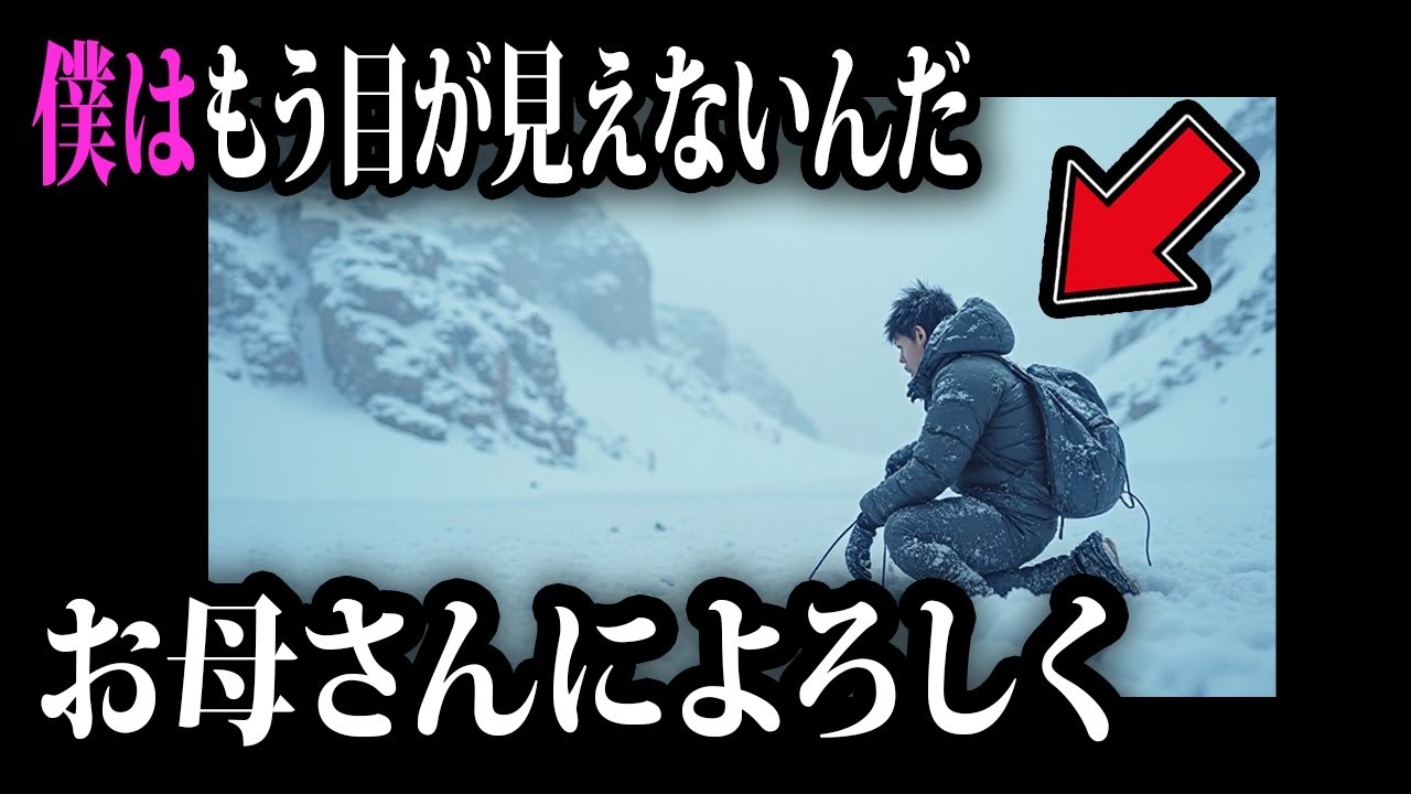 「…これからどうなるの？…死ぬのを待つの？」重く切ない凍てつく11人の壮絶な登山物語　命の代償と向き合った登山者のリーダーは仲間の魂を背負って生きると決意した