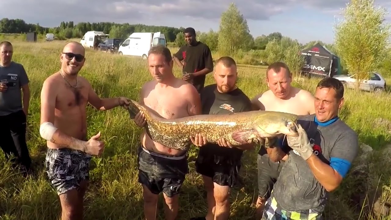 Compilation p&ecirc;che 2017 -  KSTAR FISHING