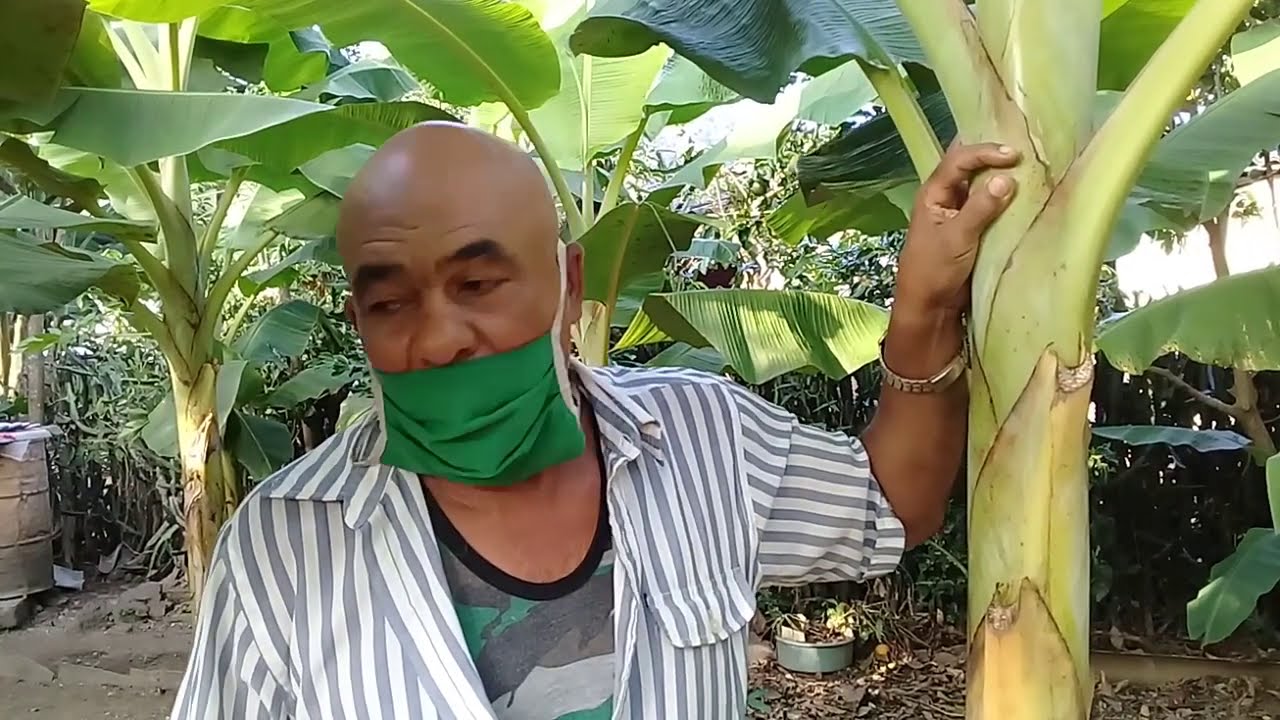 El Patio de Manuel Rosabal No es tan particular en Tercer Frente