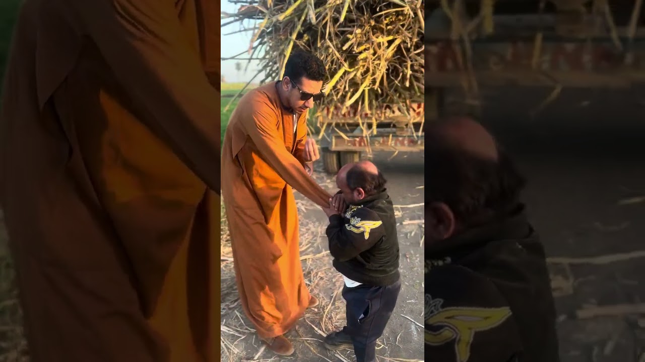 سعيد الاسطورة بيسرق قصب من المقطوره عشان المدام بتتوحم وعم شوقي قفشو ضحك مش خلصان 😂