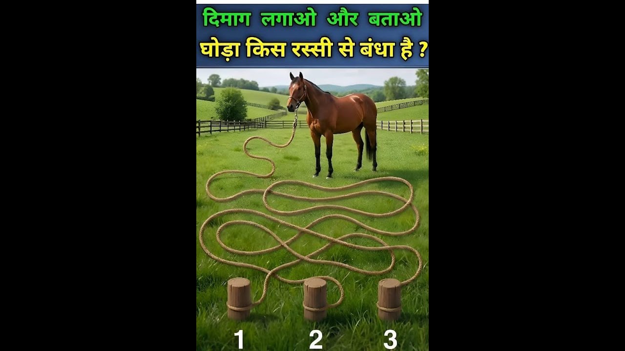 दिमाग लगाओ और बताओ - Puzzle Challenge | #BrainTeaser #Shorts #IQTest #LogicPuzzle #Puzzle #Live