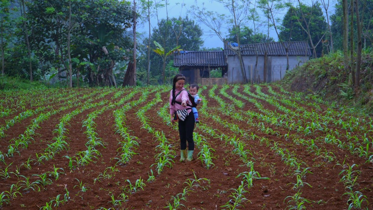 Raising livestock, construction, farming, and raising children — girl does everything by herself.