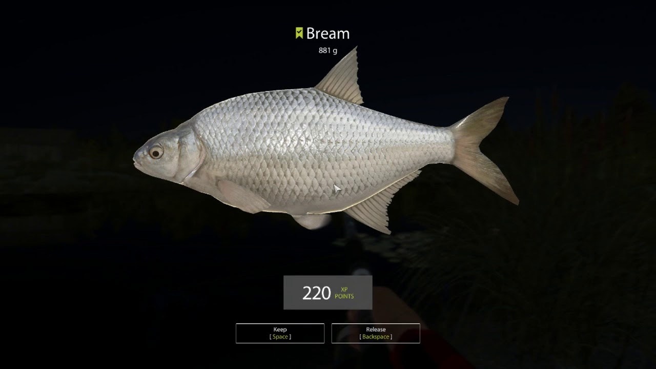 Russian Fishing 4 Beginner's Guide to RF4 Level 12 First steps at Old Burg Bream, Tench
