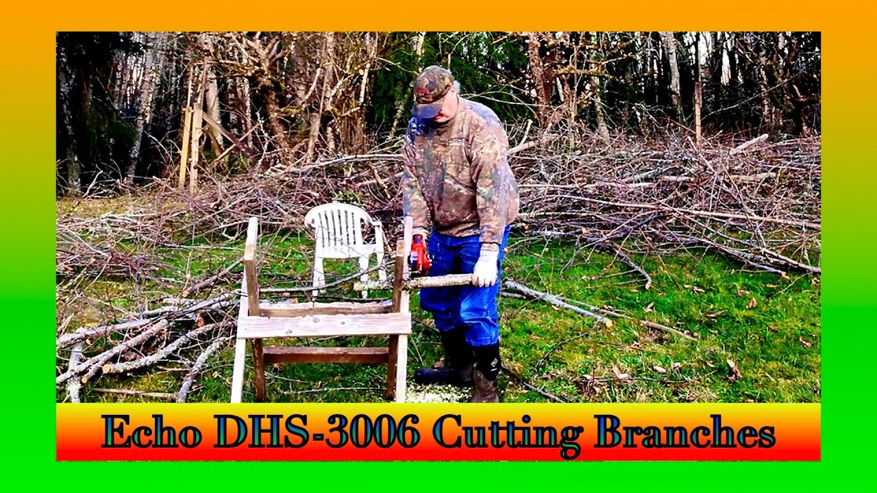 Echo DHS 3006 Cutting Branches