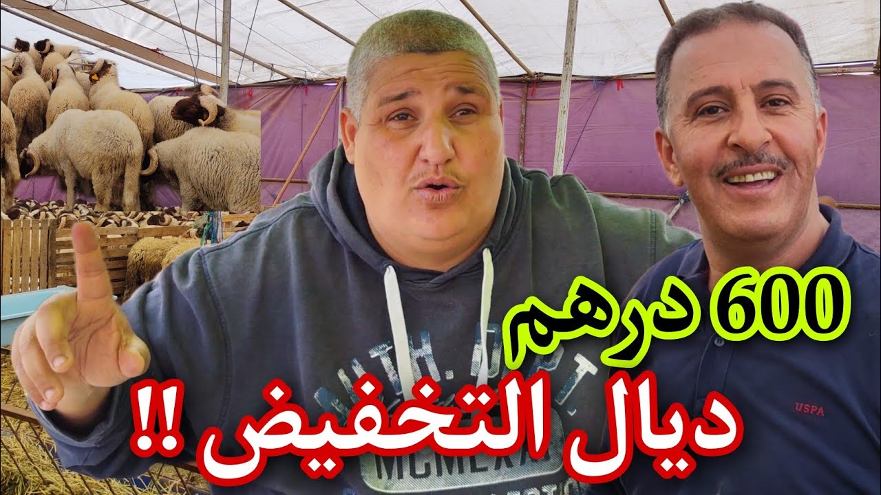 من #الناظور .. ومع اشهر بائعي الاضاحي 