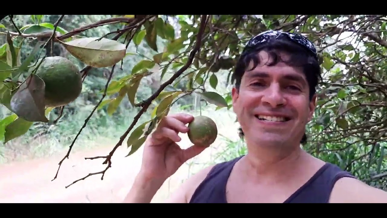 jardín America Misiones. un recorrido