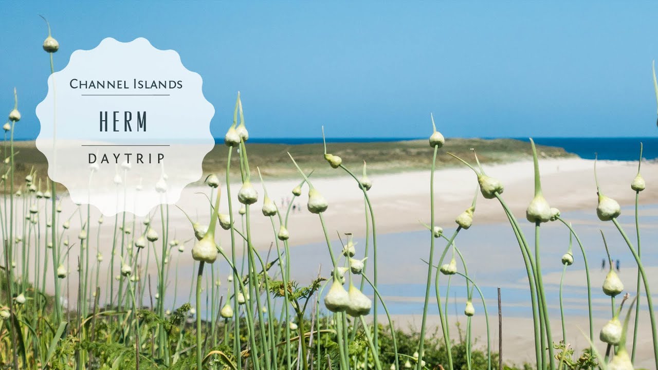 Channel Islands: exploring a paradise -  Herm Video