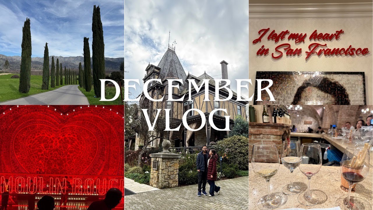Travel to USA and much more | December Vlog