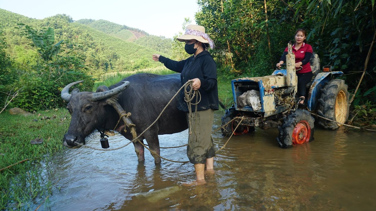 Genius girl challenge; large agricultural machinery repair and restoration