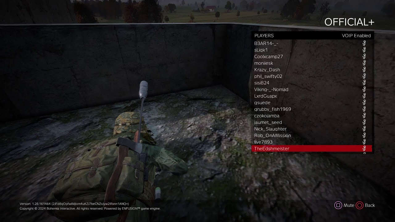 DayZ