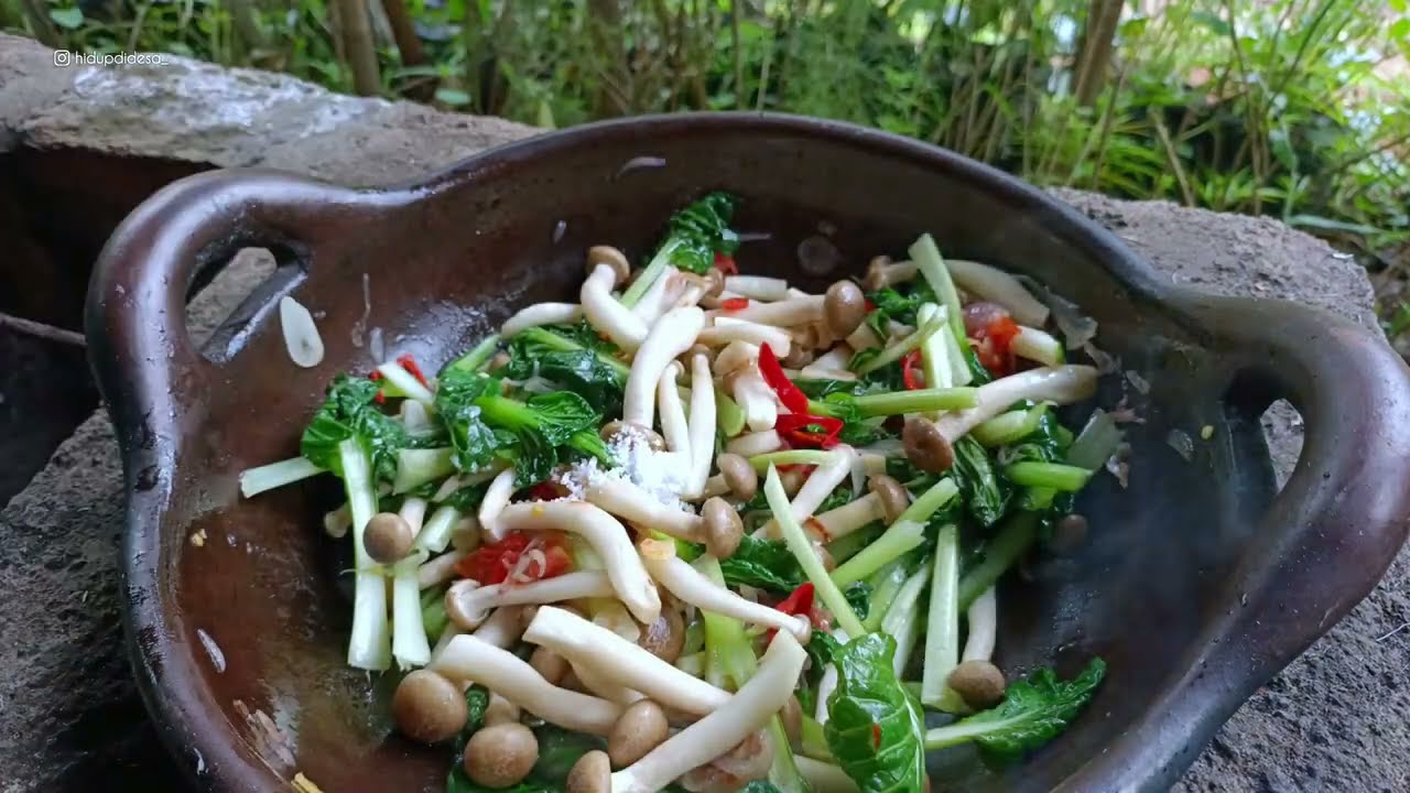 PanenTatsoi | Sawi Pagoda | Masak & Makan enak hasil kebun | Ada kelinci baru