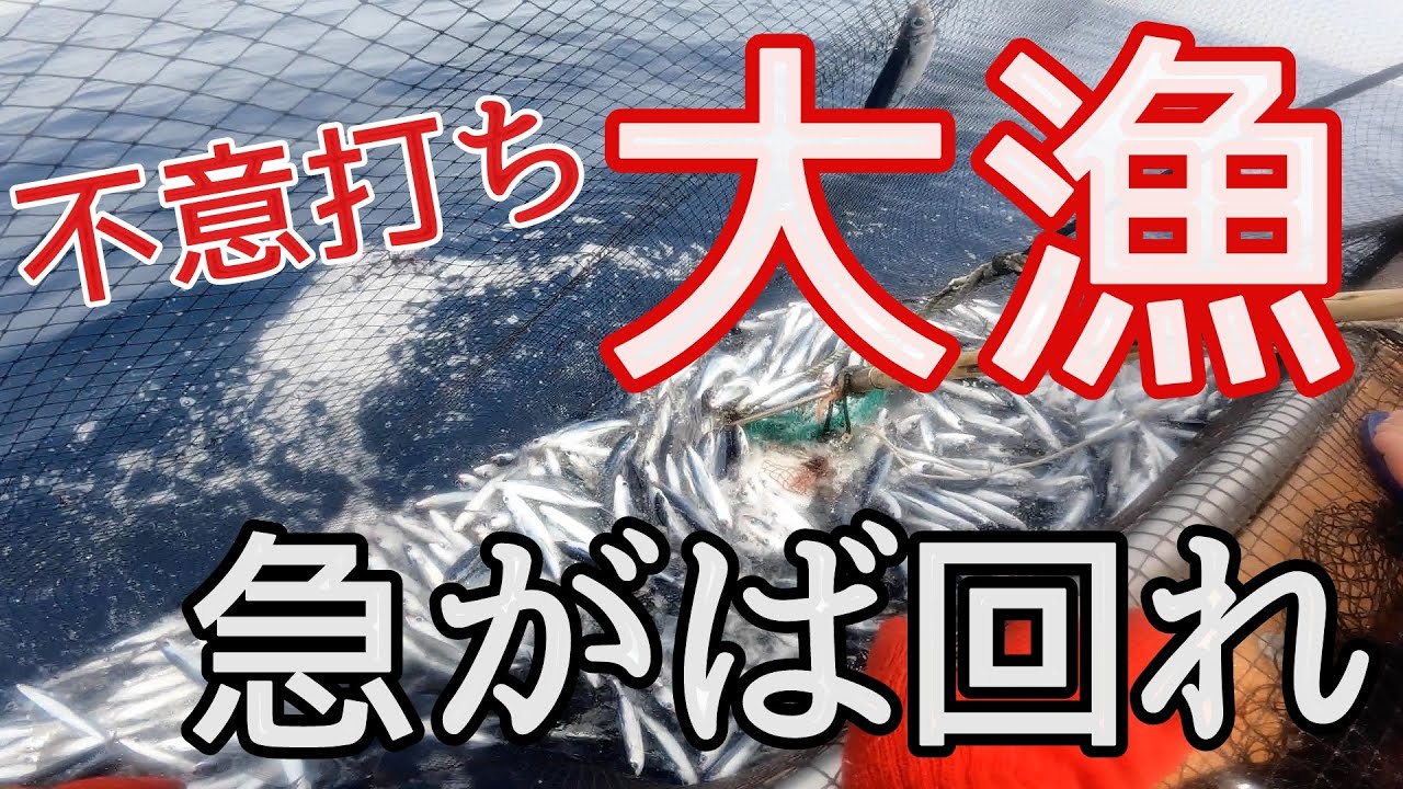 【大漁】無欲からの棚ぼた大漁 | ゴリトーク有り