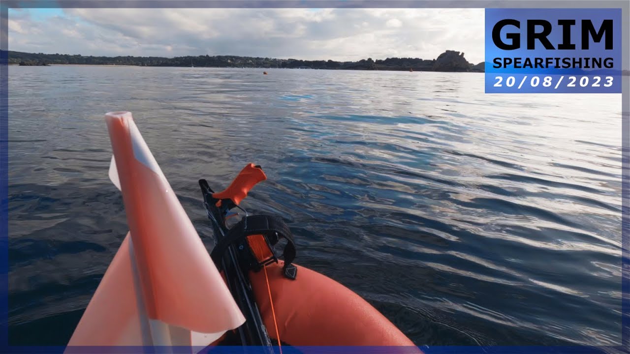 Chasse sous-marine (Côtes d'Armor 22) - Bars, mulets, dorades, y a du poisson !