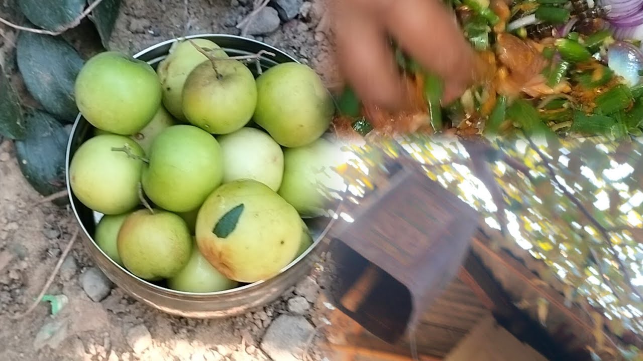 Uncle home jujube is very tasty// off season guwava// local chicken curry 