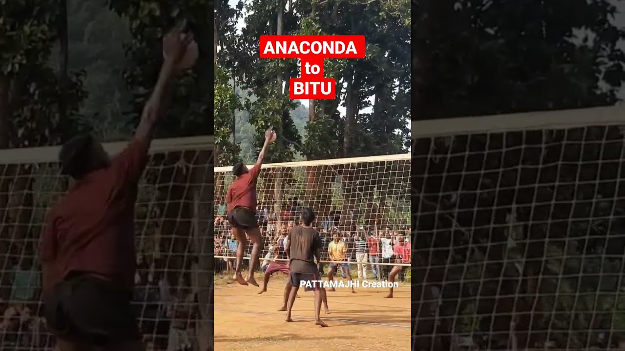 🔥ANACONDA's🔥Single Hand Shot// ANACONDA to BITU #Volleyball Shorts #Trendig Shot #Volleyball Match