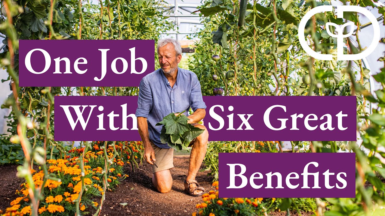 Deleaf Plants for Six Great Benefits