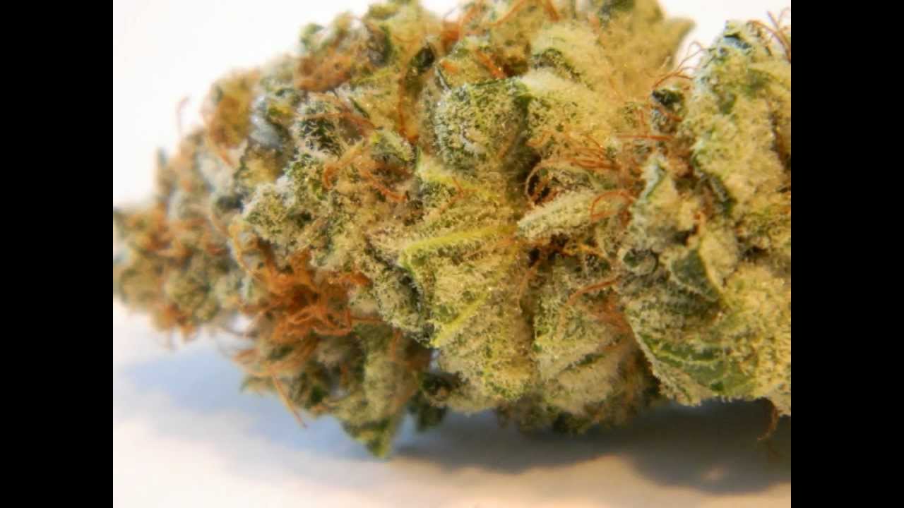30 HD photo montage of Basement MedicalGrow#1