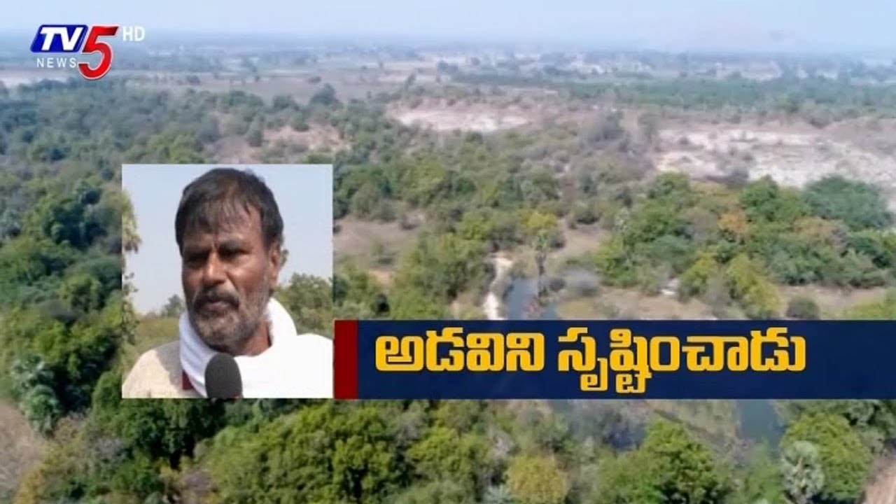 అడవిని సృష్టించాడు.. | Man Made Forest in Suryapet Dist | TV5 Special Story