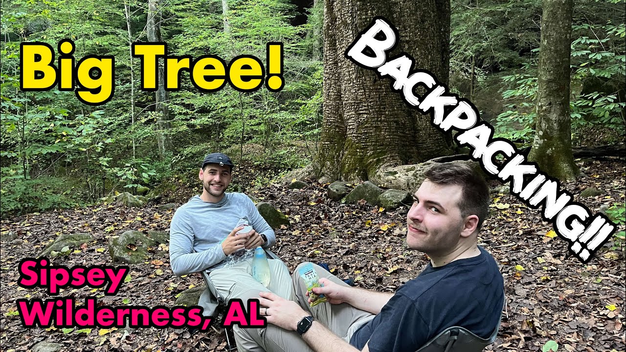 Backpacking the Big Tree, Bunyan Hill Loop in the Sipsey Wilderness, Alabama