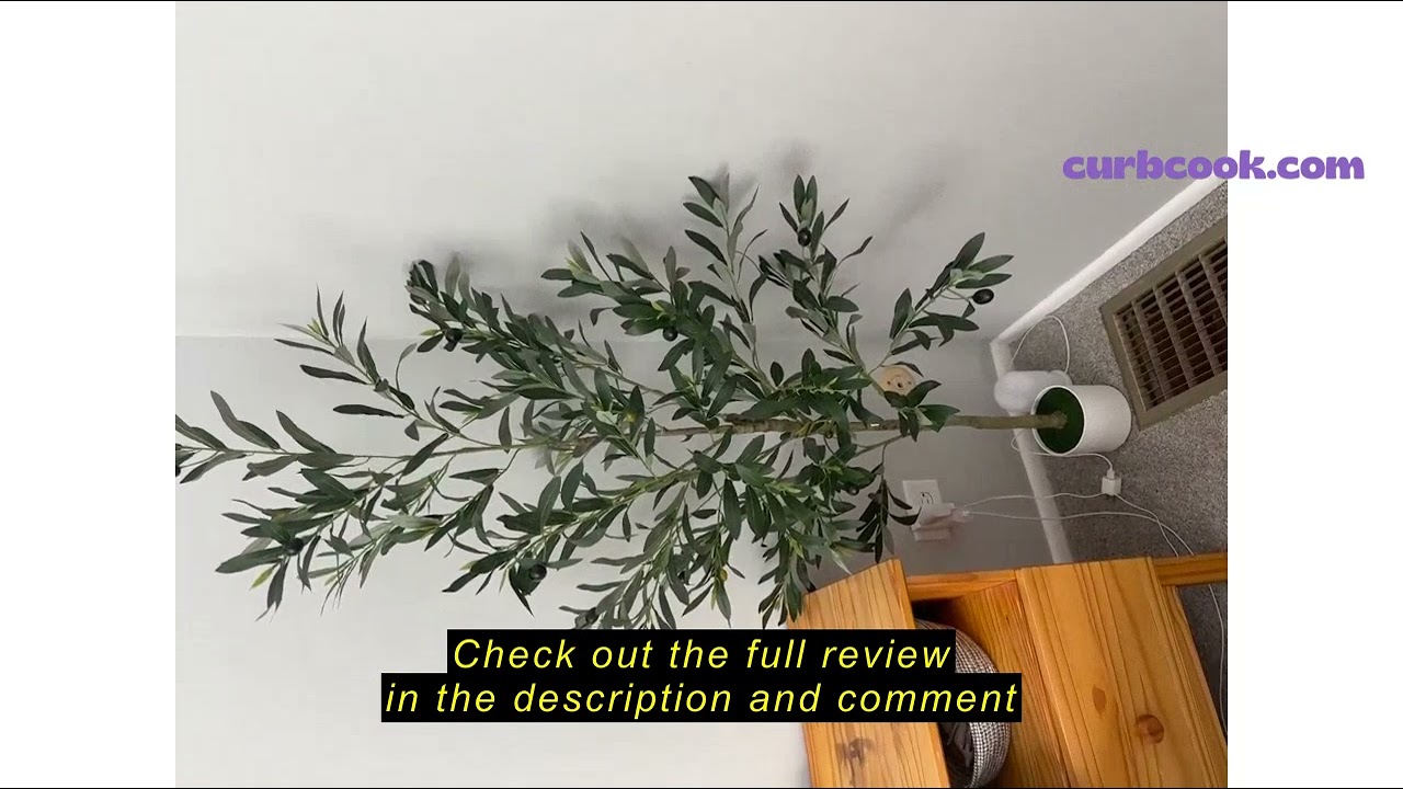 Review Alupssuc 6FT Artificial Olive Trees, Faux Silk Plant with Lively Artificial Trunk and Lifelik