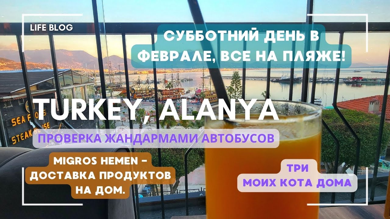 ЗИМА В АЛАНИИ ЗАКОНЧИЛАСЬ. СОЛНЕЧНАЯ СУББОТА, ЧТО НА ПЛЯЖЕ. ПРОВЕРКА АВТОБУСОВ. МОИ КОТЫ ДЕРУТ СТЕНУ