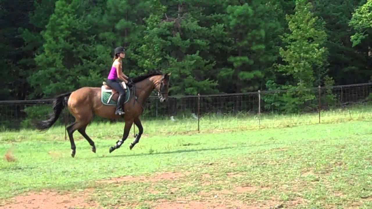 VID00057