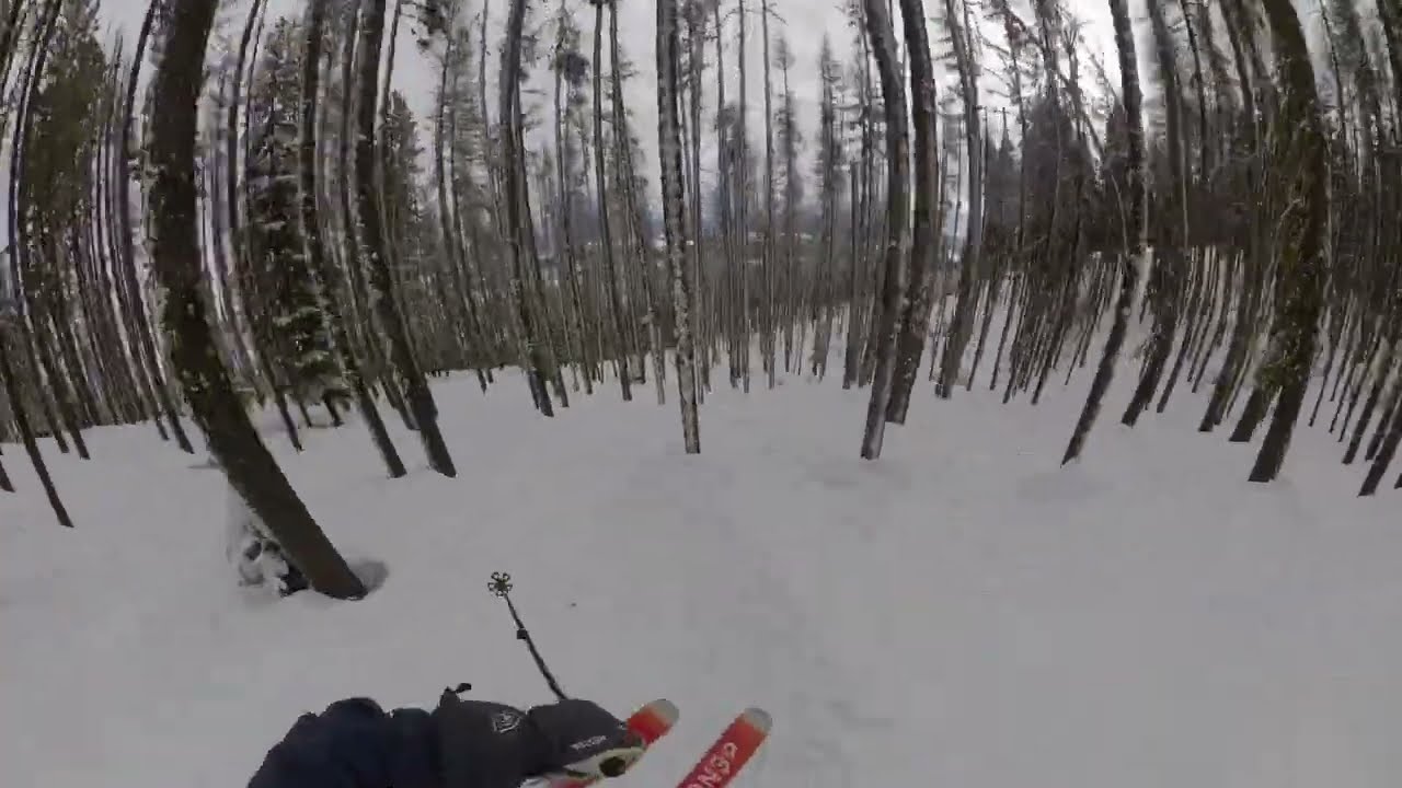 Tamarack Resort, ID Report: Otherworldly Tree Skiing and Lake Views After a 3