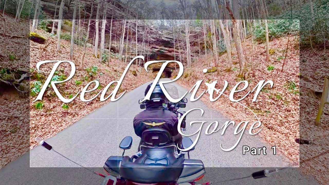 Unreal Winter Ride: Goldwing Through Red River Gorge at 60° Just Before Christmas