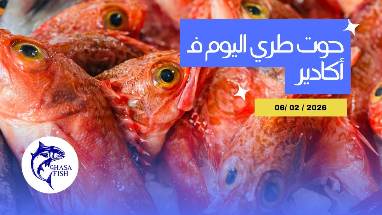 أثمنة السمك 🦐 اليوم الجمعة 06 فبراير 2026 