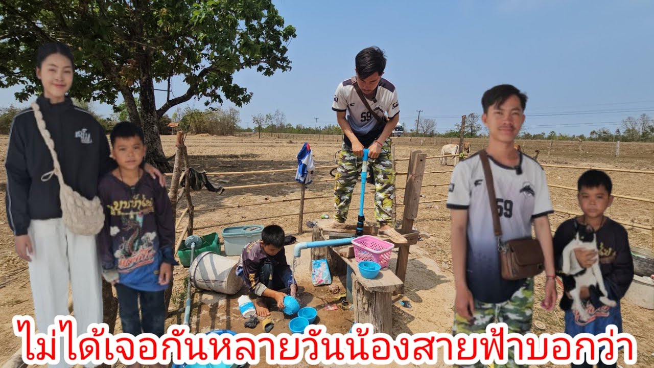 น้องสายฟ้าอยู่บ้านคนเดียวหลายวันแล้วไม่มีใครมาหาเลยไม่ได้เจอกันเกือบอาทิตย์.. 4 มีนาคม ค.ศ. 2026