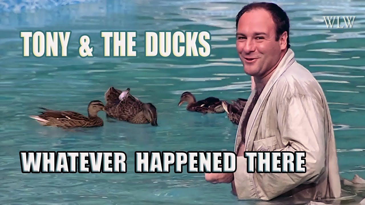 Duck Whisperer - Why Tony Soprano Loved Ducks & Other Animals