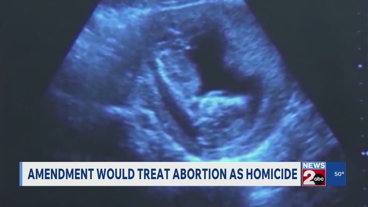Amendment would treat abortion as homicide