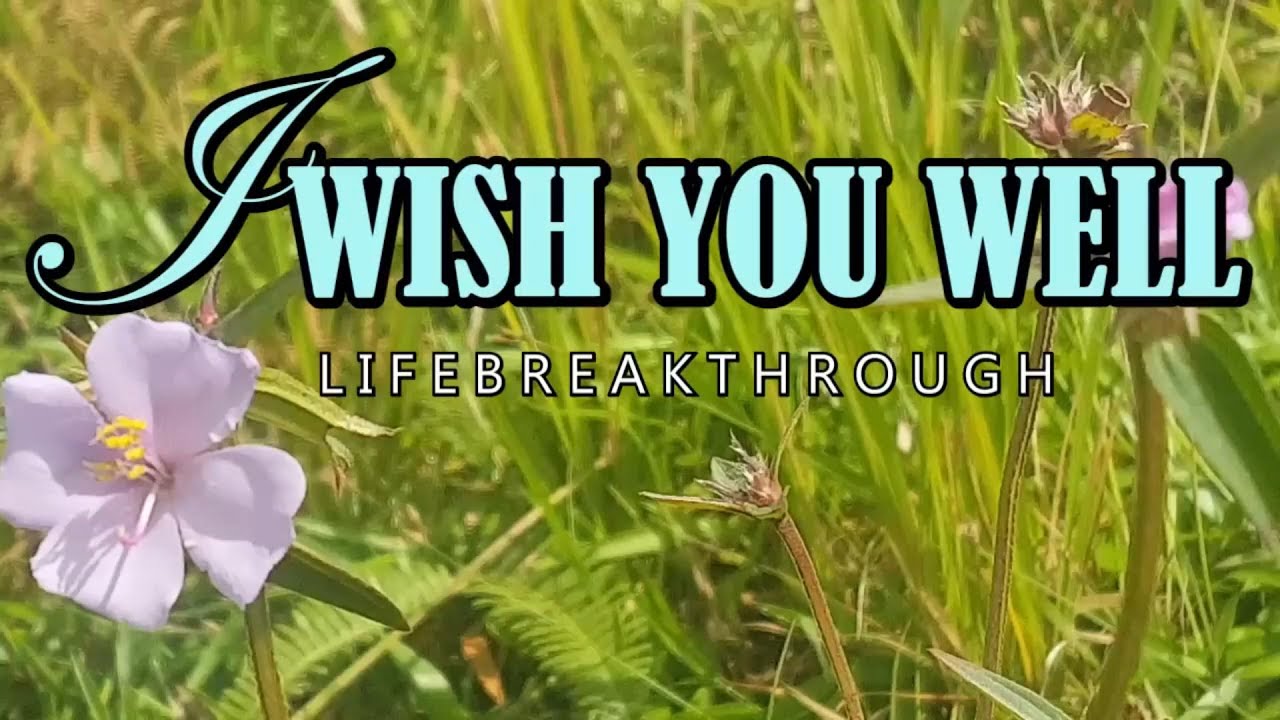 I Wish You Well // Christian Country Music