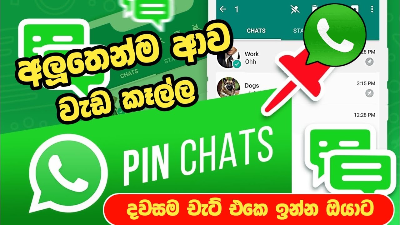 whatsapp new update😍 | whatsapp pin message option | whatsapp tips | SL Academy