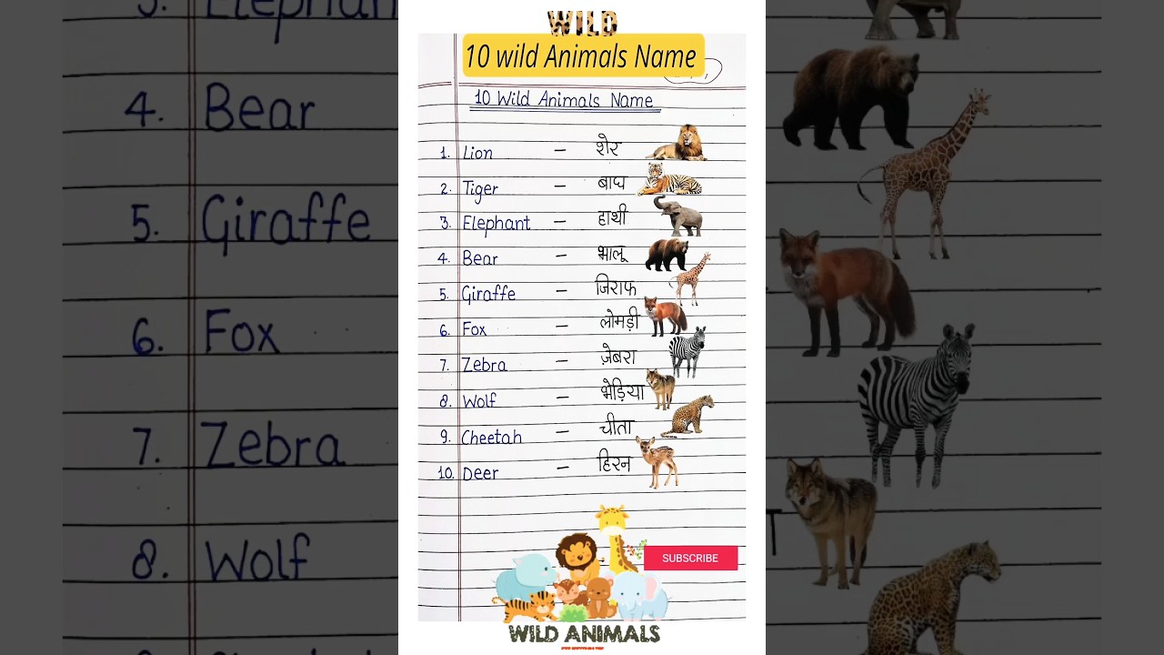 10 wild animals name in english || wild animals name || name of wild animals || जंगली जानवरों के नाम