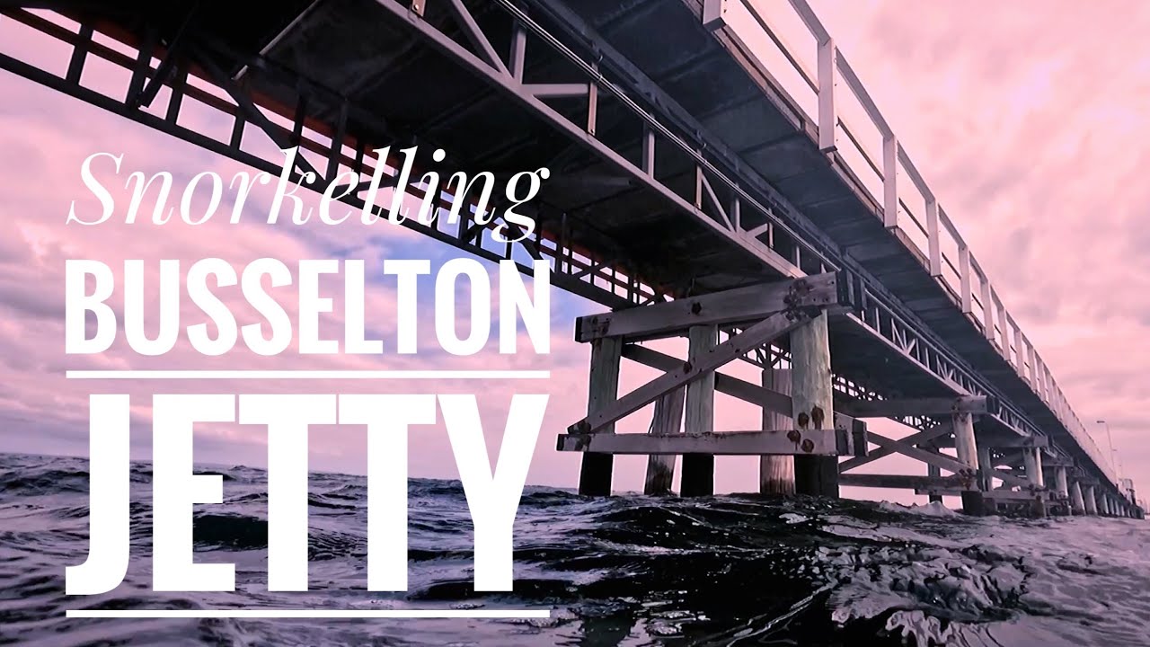 Our first snorkel of Busselton jetty