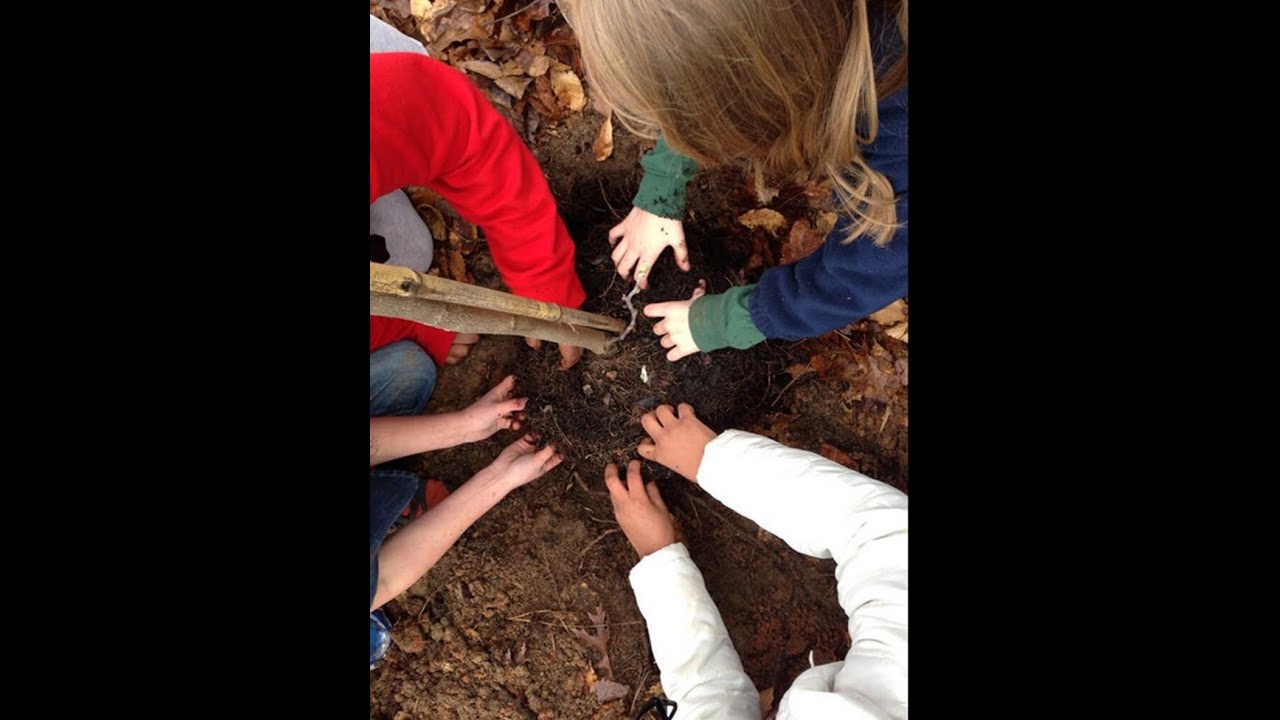 How to Plant a Tree
