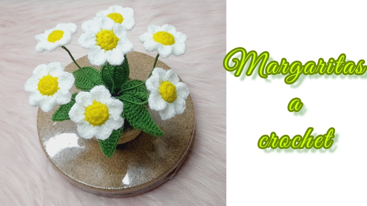 COMO TEJER MARGARITAS a CROCHET para MACETA SÚPER FÁCIL 👌🧶💕