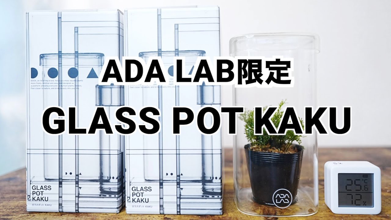 【ADA LAB】GLASS POT KAKUが限定販売開始！通気孔があるガラスポットの効果とは？！【パルダリウム】