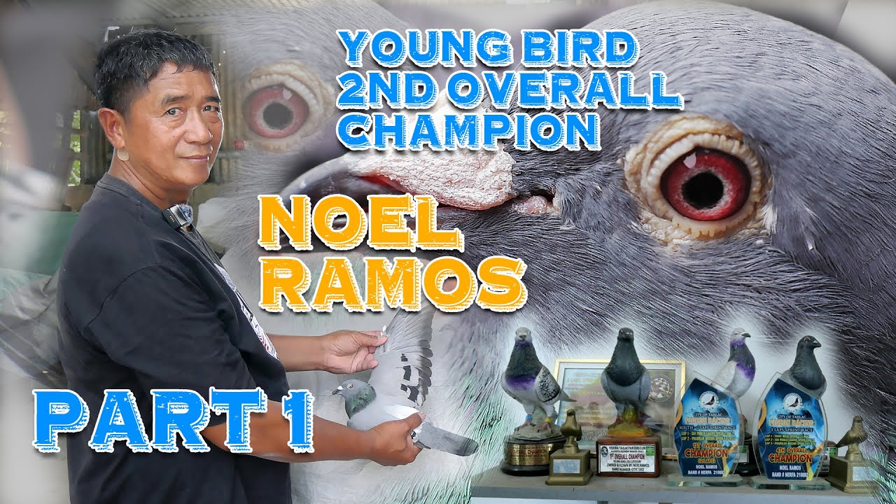 NOEL RAMOS | 2ND OVERALL CHAMPION YB PART 1