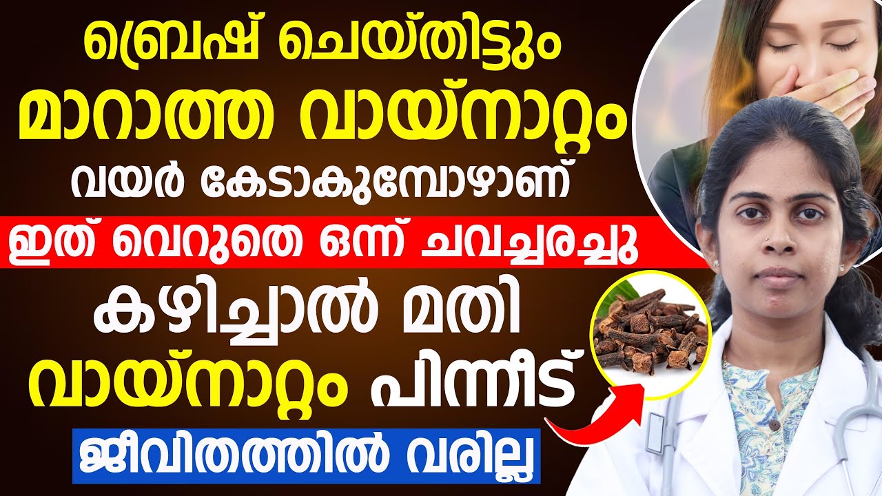ബ്രെഷ് ചെയ്തിട്ടും മറാത്താ വായ്നാറ്റം വയർ കേടാകുമ്പോഴാണ്ഇത് വെറുതെ ഒന്ന് ചവച്ചരച്ചു കഴിച്ചാൽ മതി
