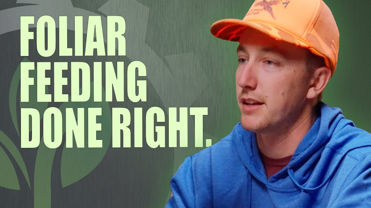 Getting the Most Out of Foliar Feeding: Real-World ROI for Farmers